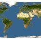 Discover Life: Point Map of Pithecellobium clypearia